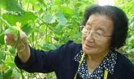 娱乐圈的不正常系统 今日吃瓜,不正常系统下的今日吃瓜大揭秘！