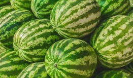 吃瓜网官网 吃瓜爆料短剧吃瓜爆料大赛每日聚集地,揭秘吃瓜爆料短剧大赛，每日热点聚集地